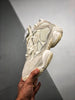 Yeezy 500 Bone White